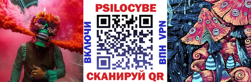 хочу   Коряжма  Псилоцибиновые грибы Psilocybe 