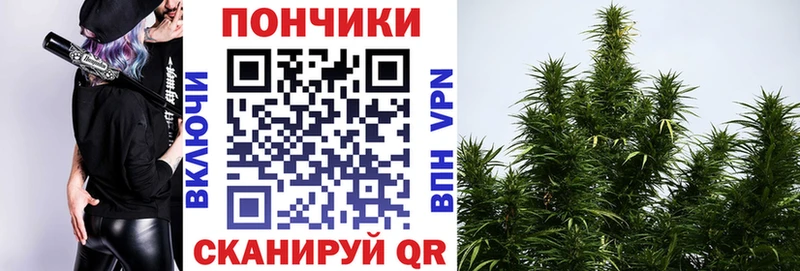 Бошки марихуана THC 21% Коряжма